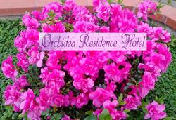 Albergo Orchidea