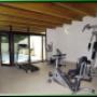 Palestra