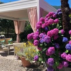 Ristorante e Albergo Antica Stallera***