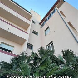 Hotel Il Delfino