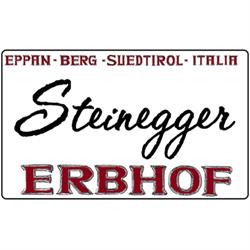Hotel Ristorante Steinegger