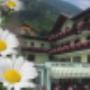 Albergo