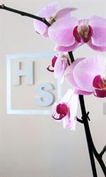 Hotel Saturno