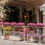 Gallery Professionale