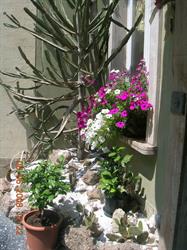 Albergo Torino