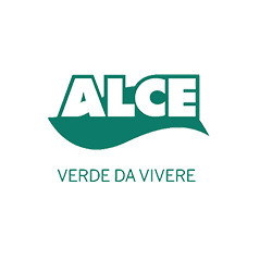 Alce