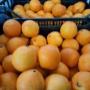 Ortofrutta Alghero