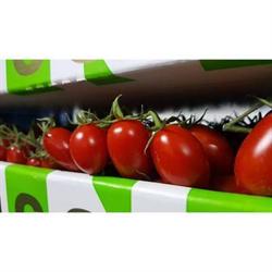Alguer Fruit