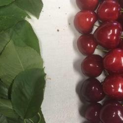 Alimentari Gambaretto Di Gambaretto Alberto e C. S.d.f.