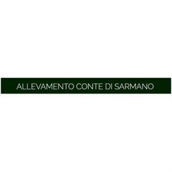 Allevamento Pastore Tedesco e Barbone Toy e Nano Conte di Sarmano