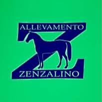 Allevamento Di Zenzalino (Srl)
