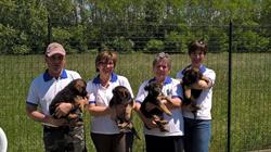 Allevamento di Cani Casa Gino di Crescimbeni Mauro & C.