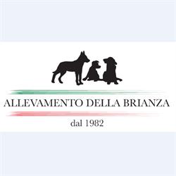 Allevamento della Brianza