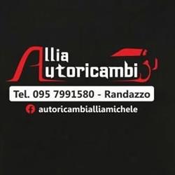 Autoricambi Allia Michele