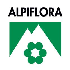 Alpiflora
