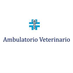 Ambulatorio Veterinario Altamura Mengani Piangerelli