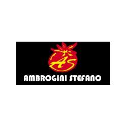 Ambrogini Stefano