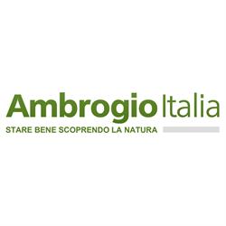 Ambrogio Marino