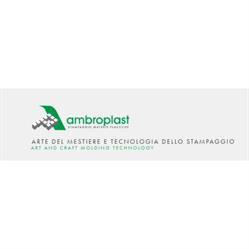 Ambroplast