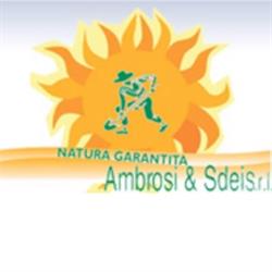 Ambrosi e Sdei SRL