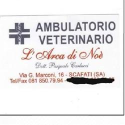 ambulatorio veterinario