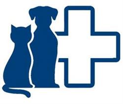 Ambulatorio Veterinario Nordest - Angelini , Moreale & Siminica