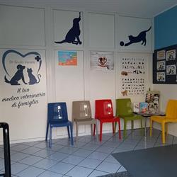 Ambulatorio Veterinario Associato