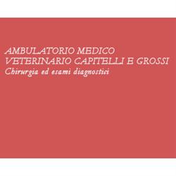 Ambulatorio Medico Veterinario Capitelli & Grossi