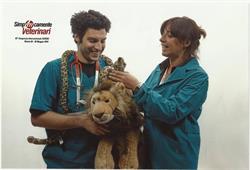 Ambulatorio Veterinario Dr.ssa L. Zamboni