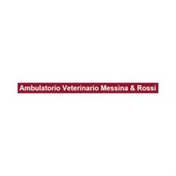 Ambulatorio Veterinario Associato Dott.ssa Messina - Dr. Rossi