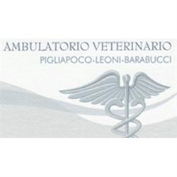 Ambulatorio Veterinario Associato Pigliapoco Leoni Barabucci
