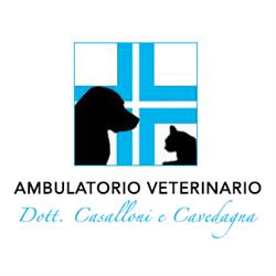 Ambulatorio Veterinario Casalloni-Casu-Cavedagna-Manunta-Montaldo