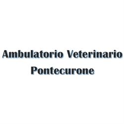 Ambulatorio Veterinario Pontecurone