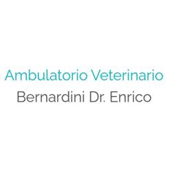 Ambulatorio Veterinario Bernardini Dr. Enrico