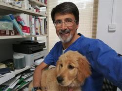Ambulatorio Veterinario Cicogna