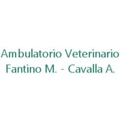 Ambulatorio Veterinario Fantino - Cavalla