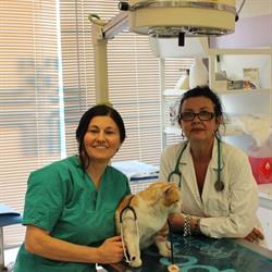 Ambulatorio Veterinario Di Landi Dr. Barbara e Chieppa Dr. A. Antonella)