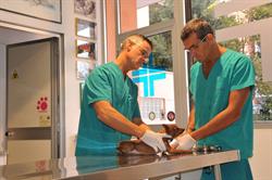 Ambulatorio Veterinario Di Luigi Argenti e Antonio Carrai