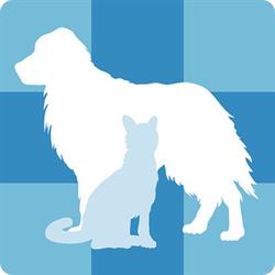 Ambulatorio Veterinario Lazzarini - De Lorenzi - Zattoni