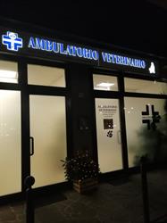 Ambulatorio Veterinario Dott.Ssa Agostino Adele