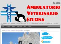 Ambulatorio Veterinario Felsina