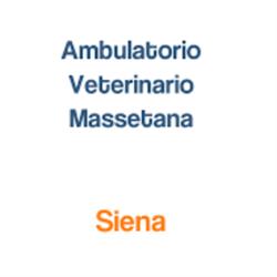 Ambulatorio Veterinario Massetana