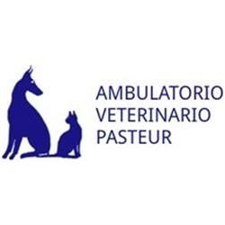 Ambulatorio Veterinario Pasteur