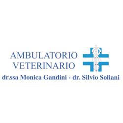 Ambulatorio Veterinario Associato Gandini e Soliani