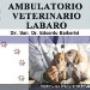 Ambulatorio Veterinario Labaro