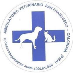 Ambulatorio Veterinario San Francesco