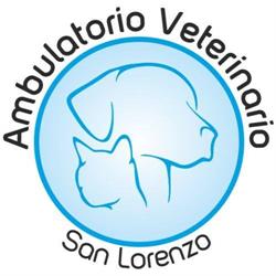 Ambulatorio Veterinario San Lorenzo