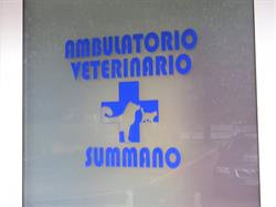 Ambulatorio Veterinario Summano Della Dr.ssa Fontanarosa Stefania