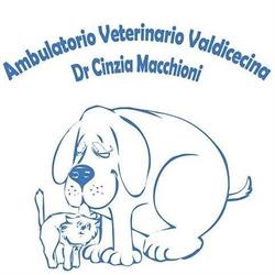 Ambulatorio Veterinario Valdicecina