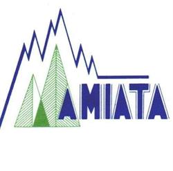 Amiata Immobiliare
